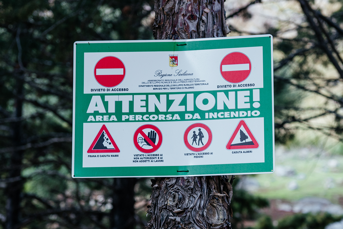 Green warning sign on a tree reading “Attenzione! Area percorsa da incendio” — warning hikers of fire-affected area, falling rocks, and unstable terrain on Monte Gallo trail near Mondello.