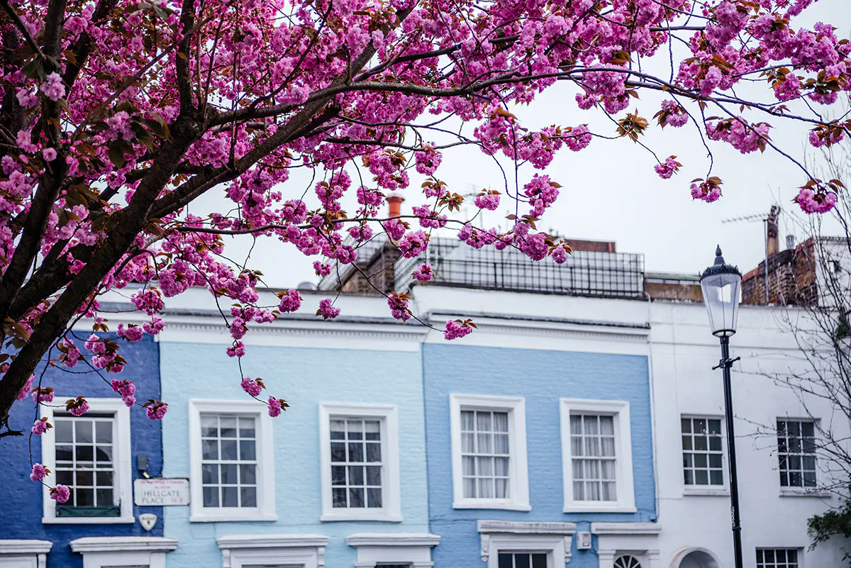 The Art of Seeing: Classic Composition Rules for Travel Photography